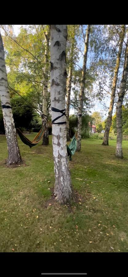 Luxury 5* Woodland Retreat, In The Woods. *