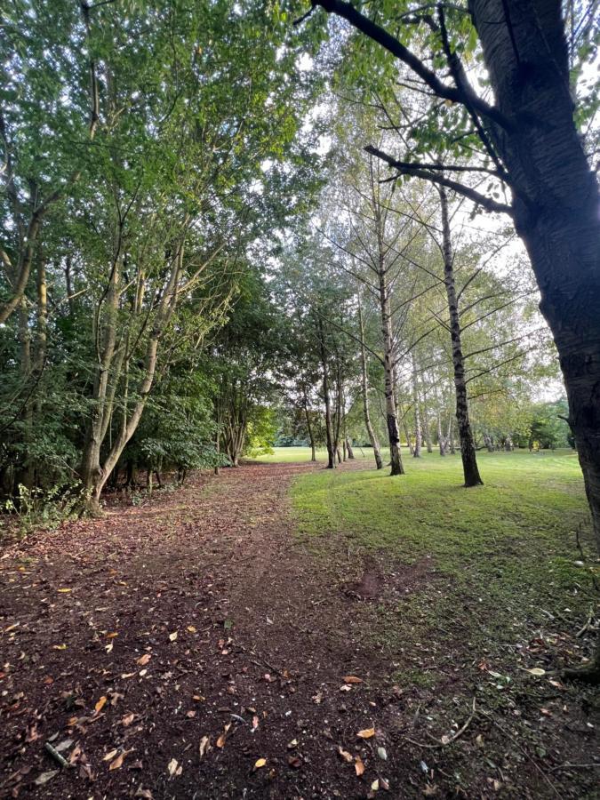 Villa Luxury 5* Woodland Retreat, In The Woods. Skegness